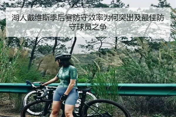 湖人戴维斯季后赛防守效率为何突出及最佳防守球员之争